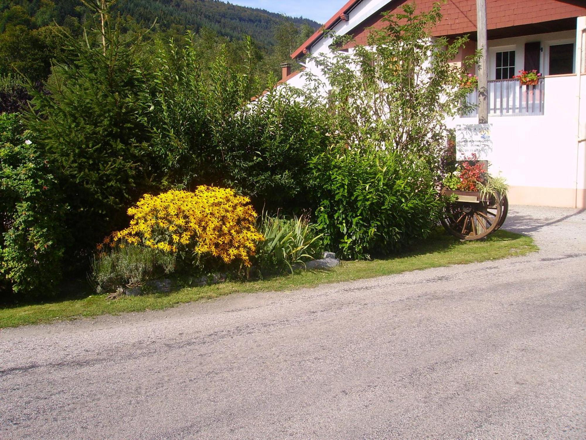 Gites Les Grandes Voies - Cle Vacances Le Menil Exterior photo
