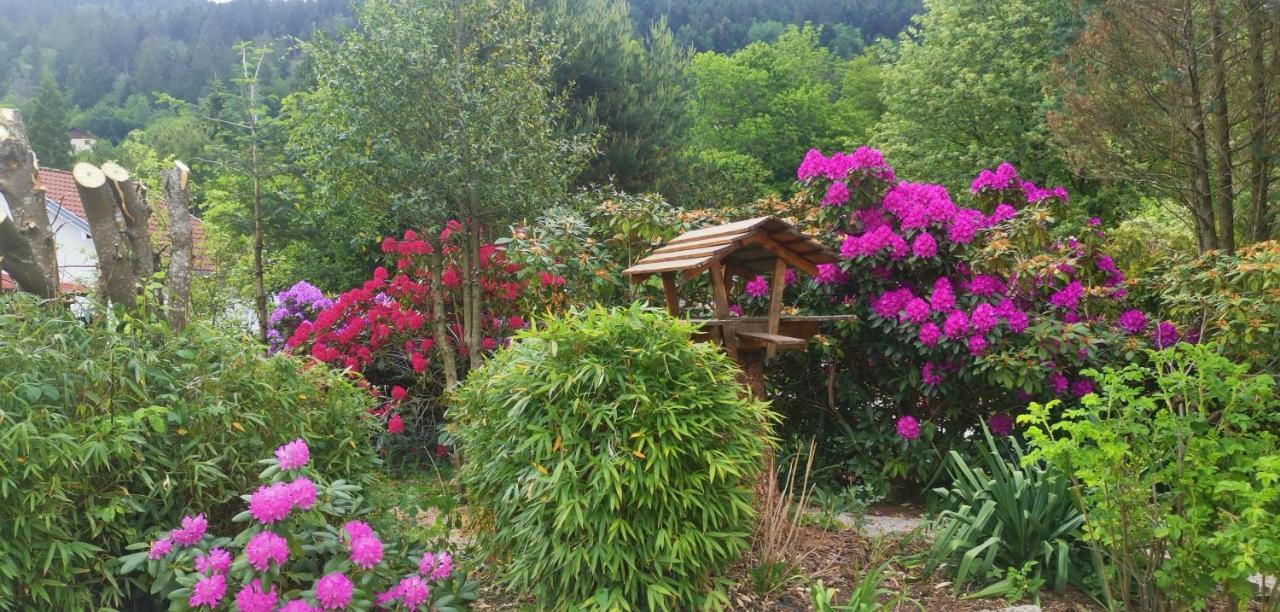 Gites Les Grandes Voies - Cle Vacances Le Menil Exterior photo